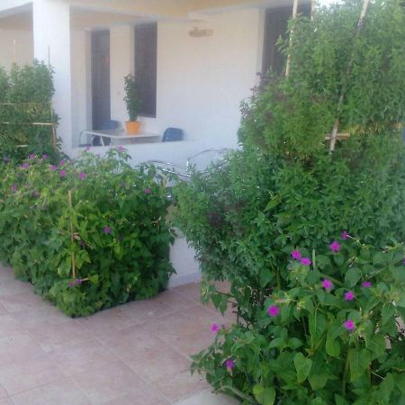 Villas Irene 5 Family Apartments Kokkini Hani ภายนอก รูปภาพ
