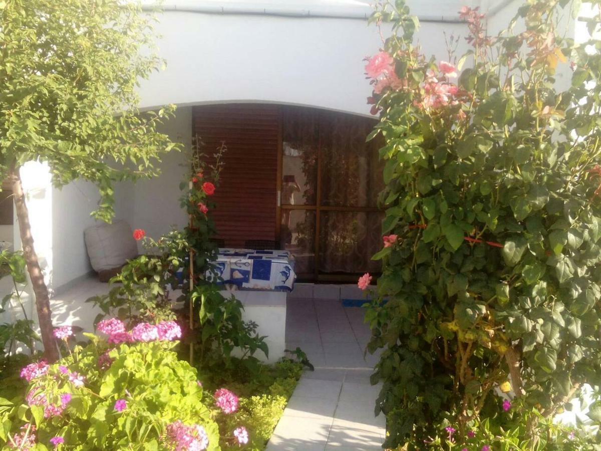 Villas Irene 5 Family Apartments Kokkini Hani ภายนอก รูปภาพ
